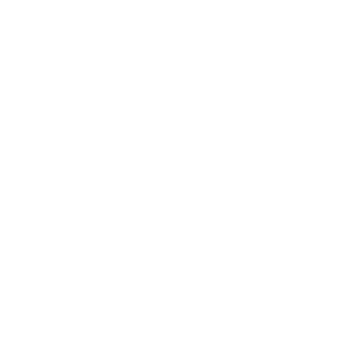 shield icon